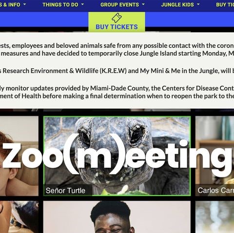 3. Invite A Special Guest To A FaceTime OR Video Chat